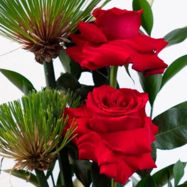 Arranjo com 4 rosas colombianas vermelhas