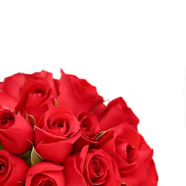 Rosas vermelhas em vaso de vidros