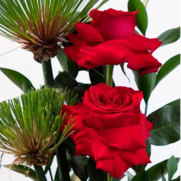 Arranjo de 3 rosas colombianas em vaso de vidro